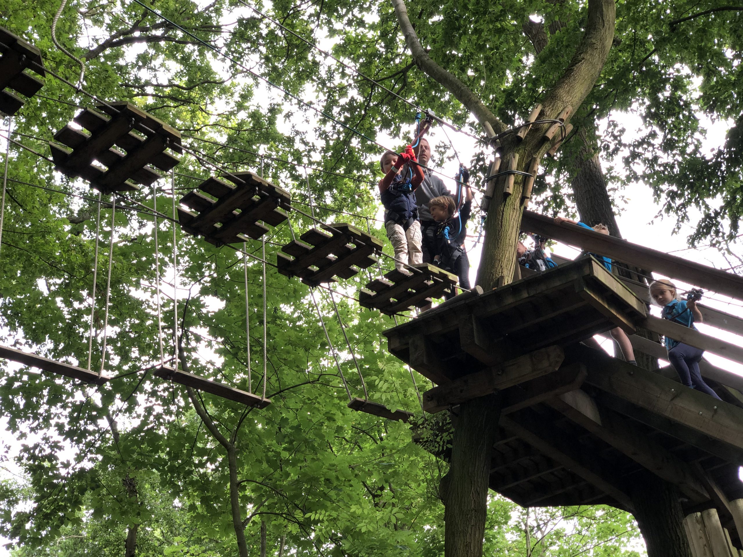 夏休みに家族や友達と楽しむ Go Apeの魅力を紹介 ポッシュなイギリス子育て事情 現地教育ママ達に囲まれて